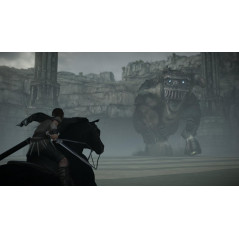 SHADOW OF THE COLOSSUS PS4 DE NEW (GAME IN ENGLISH/FR/DE/ES/IT/PT)