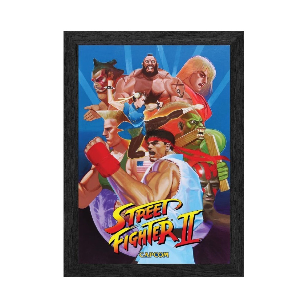 PIXEL FRAMES STREET FIGHTER II (2) THE WORLD WARRIORS (25CM X 30CM) OFFICIAL CAPCOM NEW